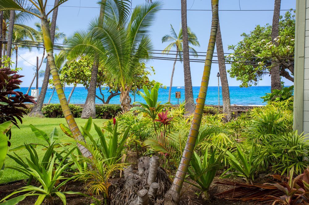 Vacation Condos In Kona Kailua-Kona Exterior photo